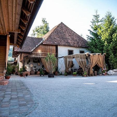 Resort Hisa Ida - Apartments With Hot Tub And Sauna Ivancna Gorica Exteriér fotografie